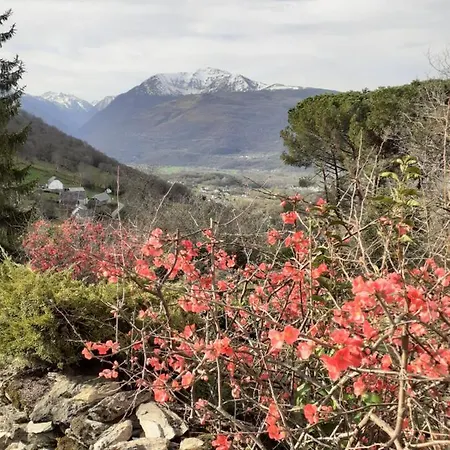 Pause Du Berger 度假居